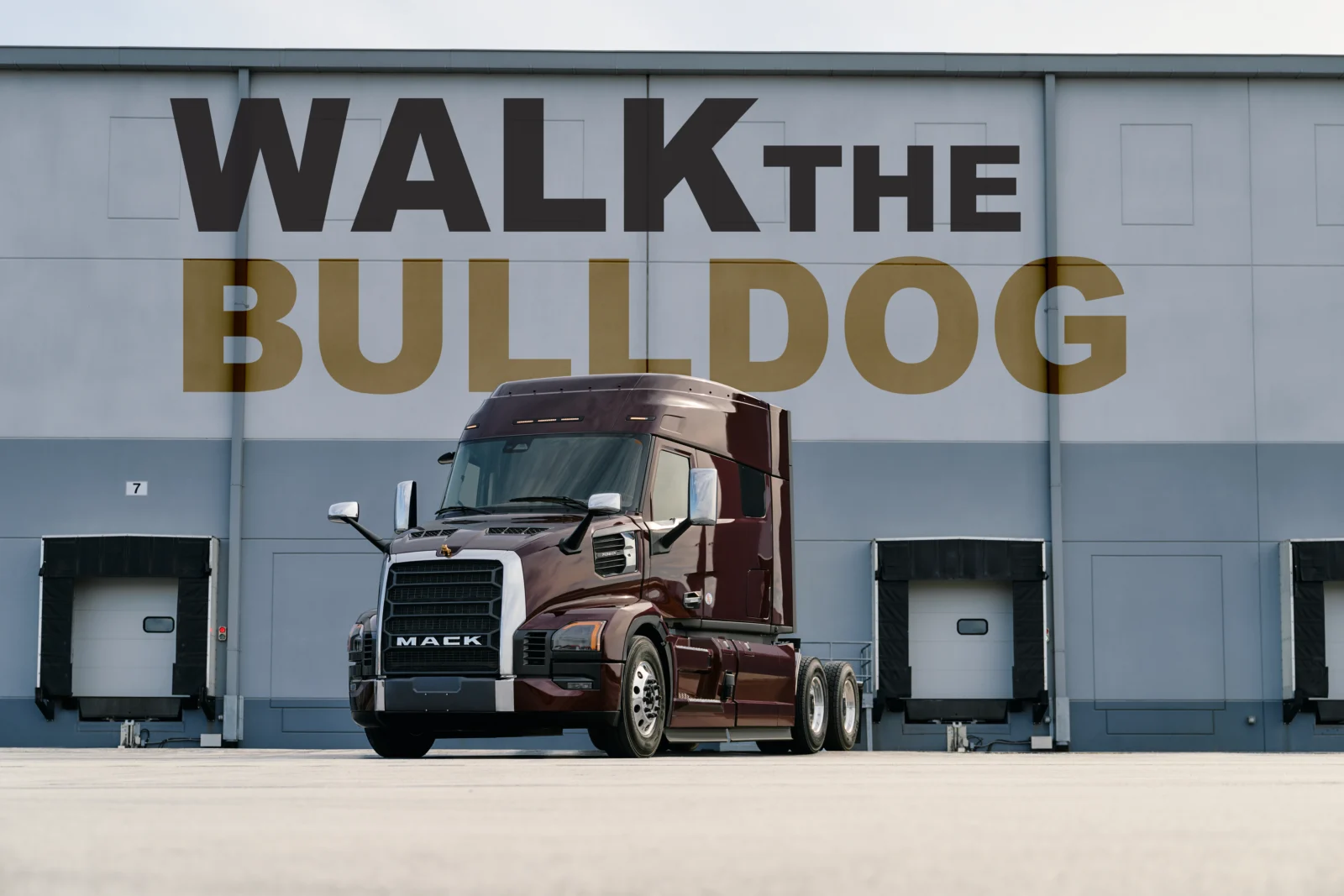 Walk the Bulldog image.